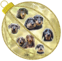 GoldgrundXmasKugel2004