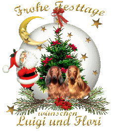 dackelfamilieweihnacht