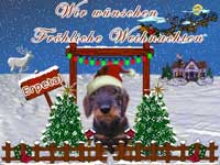erpetalweihnacht