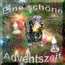 goldgrundadvent