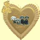 goldgrundherz