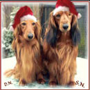 naujokatweihnachten