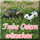 osterquilt